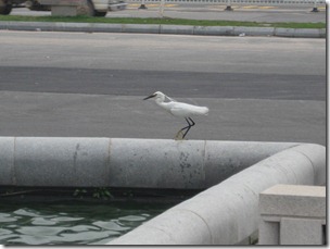 IMG_0026